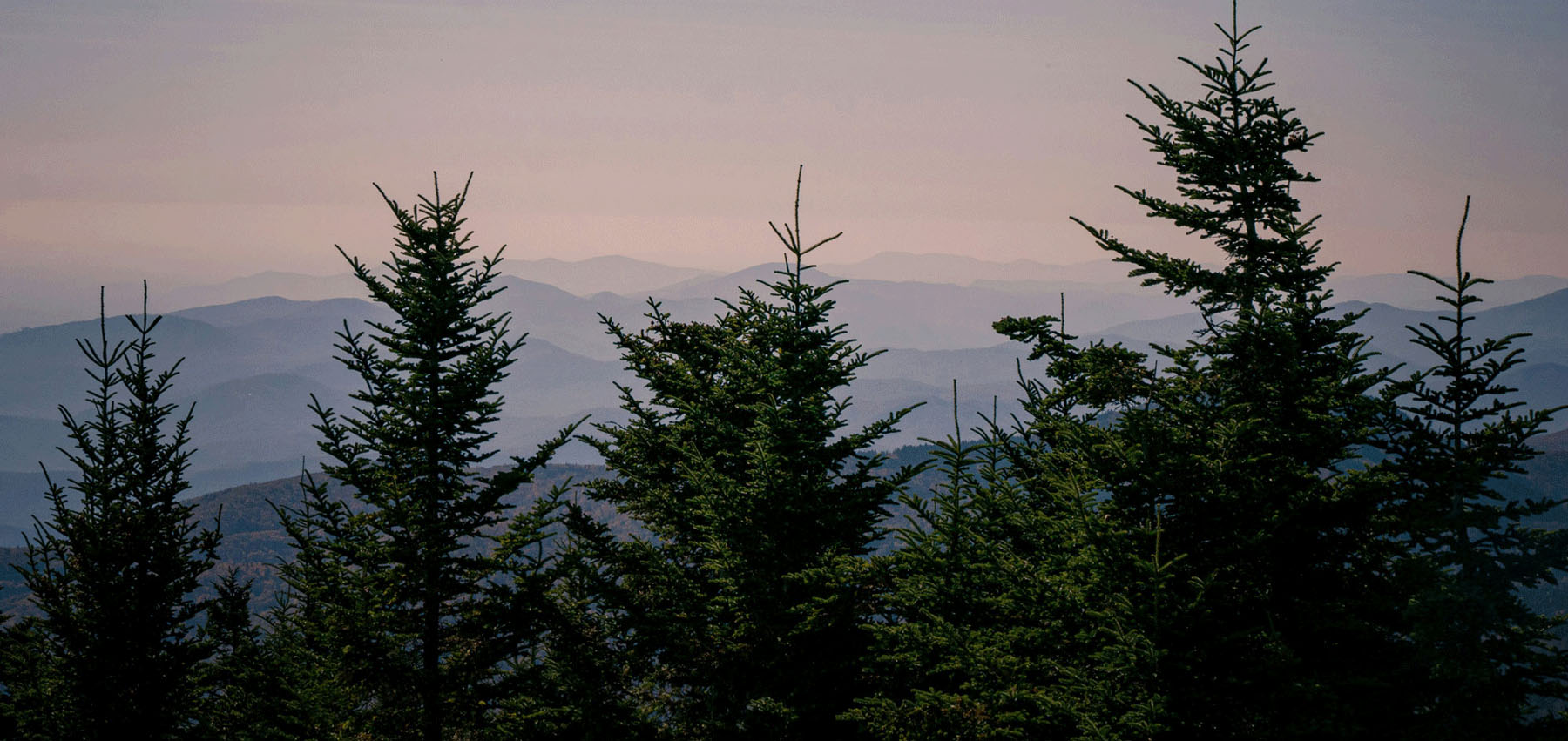 Highlands View