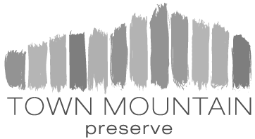 Osada Construction is the preferred builder for Town Mountain Preserve