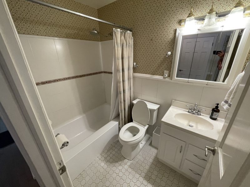 rolling-hills-renovation hall bath before