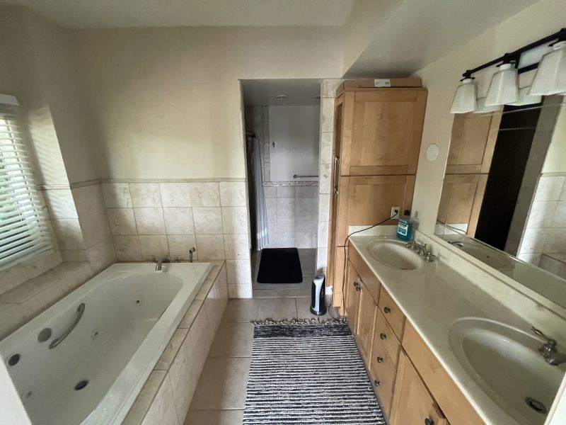 rolling-hills-renovation owners bath before